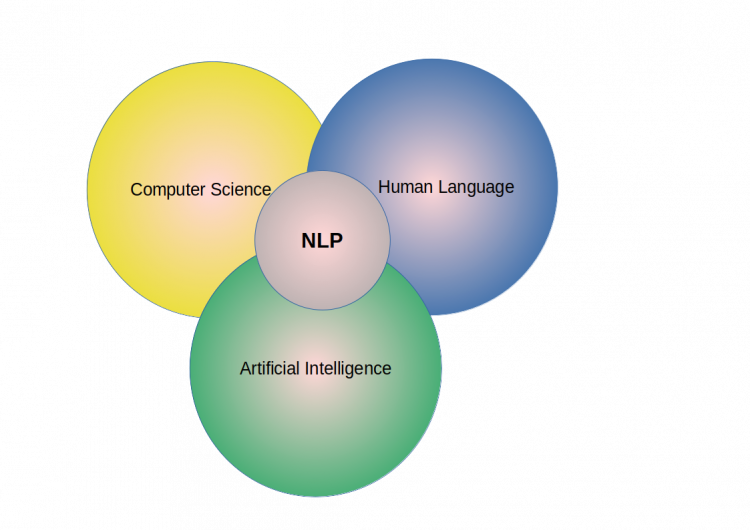 Natural Language Processing Fields