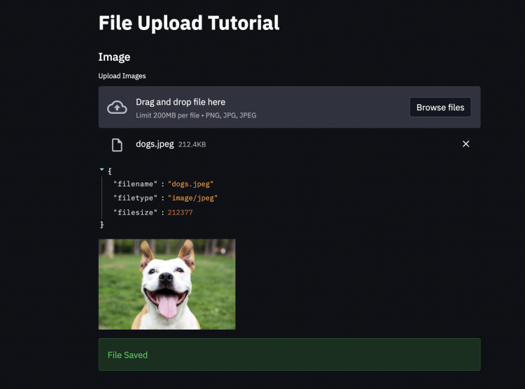 File Save Upload Streamlit