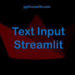 Text Input Streamlit Feature