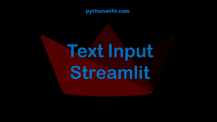 Text Input Streamlit Feature