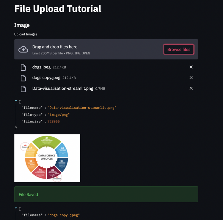 Upload Multiple Files Streamlit