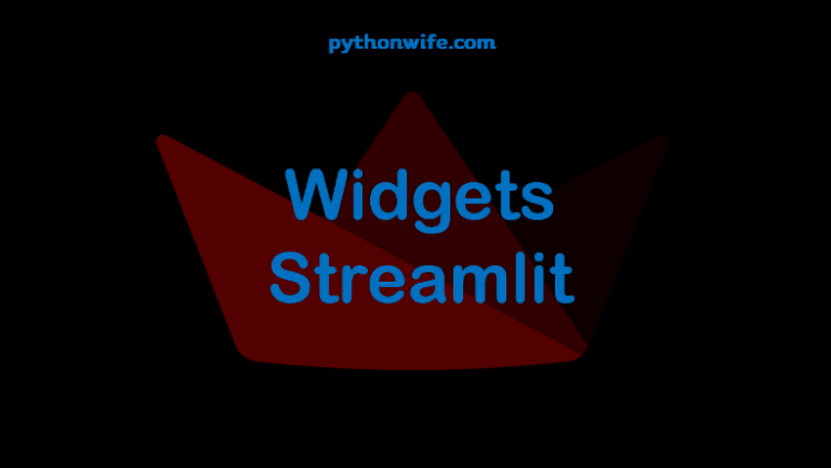 Widgets Streamlit Feature